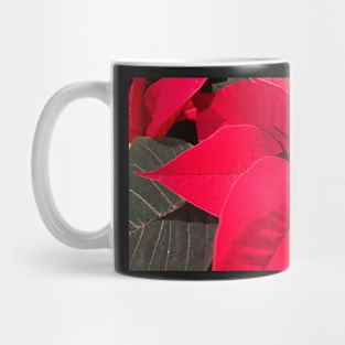 Red Poinsettia celebrating a Joyous Merry Christmas Mug